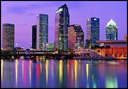 5 Stars Plus Real estate services 5 Stars Plus Real estate services